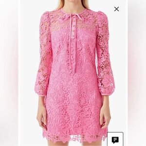 Elegant Pink Lace Dress